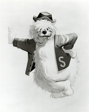 The Shaggy Dog 1959 Disney classic Shaggy Dog in Letterman jacket 8x10 photo