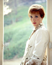 Julie Andrews 1960's portrait Mary Poppins/Sound of Music era 8x10 photo