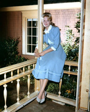 Hayley Mills sits on porch in blue outfit 1960's 8x10 inch real photo