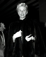 Doris Day young pose in fur coat & gloves at movie premiere 8x10 inch real photo