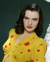 Ella Raines in yellow blouse bare midriff 1940's Hollywood 8x10 inch real photo