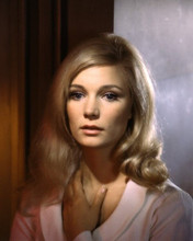 Yvette Mimieux young early 1960's portrait 8x10 inch real photo