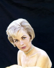 Janet Leigh looking very glamorous circa 1960 8x10 inch photo