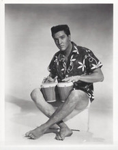Elvis Presley Blue Hawaii vintage 8x10 inch photo in shorts playing bongo drums