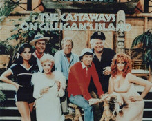 The Castaway's on Gilligan's Island 1979 TV movie cast pose vintage 8x10 photo