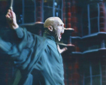 Ralph Fiennes as Lord Voldemort scary Harry Potter 8x10 Photograph