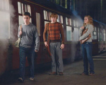 Harry Potter Movie Scene Harry, Hermione, Ron 8x10 Photograph