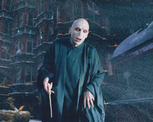 Ralph Fiennes as Lord Voldemort Harry Potter Movies 8x10 Photograph