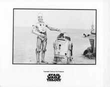 Star Wars Trilogy 8x10 inch photo C3PO and R2D2 on planet surface