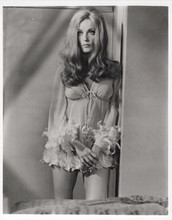 Sharon Tate vintage 8x10 inch photo in lingerie Valley of the Dolls