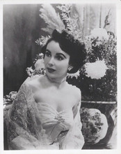 Elizabeth Taylor vintage 8x10 inch photo Hollywood glamour 1940's style