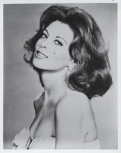 Tina Louise 1960's era classic glamour vintage 8x10 inch photo