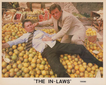 The In-Laws 1979 Peter falk checks if Alan Arkin is ok 8x10 inch photo