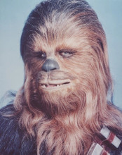 Star Wars vintage 8x10 inch photo Chewbacca portrait