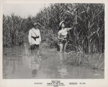 Woman of the River 1957 original 8x10 inch Sophia Loren & Gerard Oury in river
