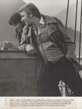 A Man A Woman and A Bank 1979 original 8x10 inch Donald Sutherland, Brooke Adams