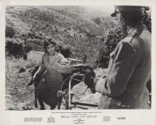 Bread, Love, and Dreams 1954 Lollobrigida Vittorio De Sica original 8x10 inch