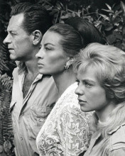 The Lion William Holden Capucine Susannah York 7x9 1970's TV photo