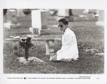 Sharon Stone 1994 original 8x10 inch photo at grave site The Specialist