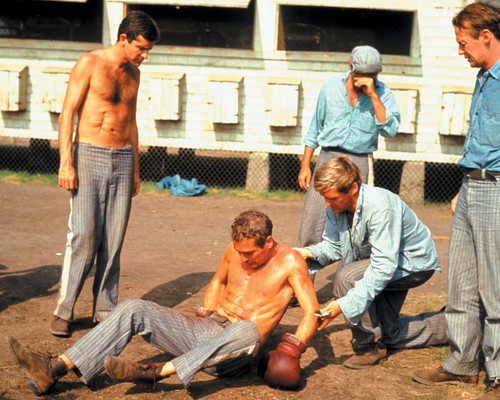 This is an image of Photograph & Poster of Cool Hand Luke 298267