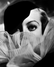 This is an image of Photograph & Poster of Joan Crawford 102792