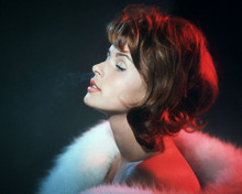 This is an image of Photograph & Poster of Senta Berger 298274