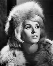 This is an image of Photograph & Poster of Senta Berger 102877