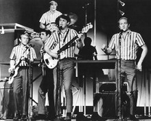 This is an image of Photograph & Poster of The Beach Boys 191788