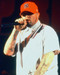 This is an image of Photograph & Poster of Limp Bizkit 250764