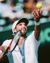 This is an image of Photograph & Poster of Patrick Rafter 246745