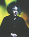 This is an image of Photograph & Poster of The Cure 213291