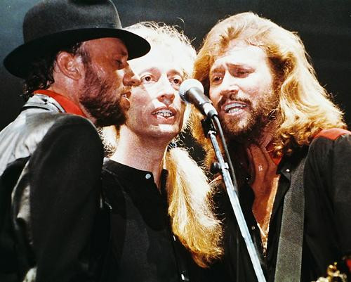 This is an image of Photograph & Poster of The Bee Gees 234943