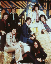 This is an image of Photograph & Poster of The Osmonds 244551