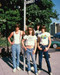 This is an image of Photograph & Poster of The Ramones 248288