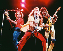 This is an image of Photograph & Poster of Van Halen 248360