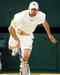 This is an image of Photograph & Poster of Andy Roddick 292411