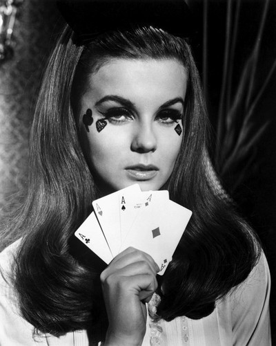This is an image of Photograph & Poster of Ann-Margret 102905