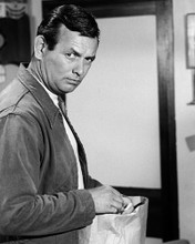 This is an image of Photograph & Poster of David Janssen 102936