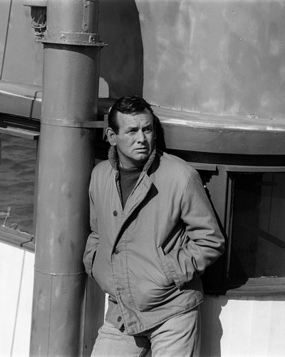 This is an image of Photograph & Poster of David Janssen 102939