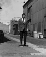 This is an image of Photograph & Poster of David Janssen 102941