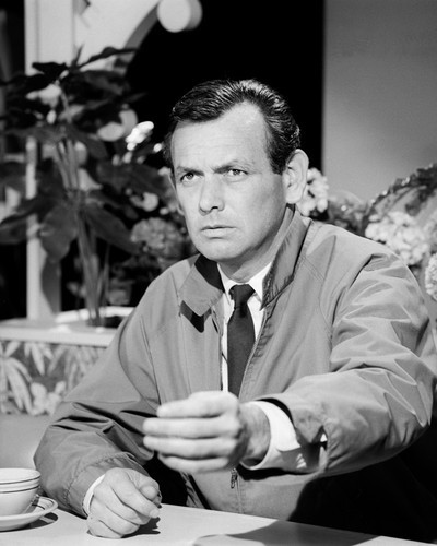 This is an image of Photograph & Poster of David Janssen 102947