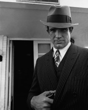 This is an image of Photograph & Poster of Warren Beatty 102984