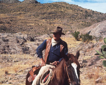 This is an image of Photograph & Poster of John Wayne 298375