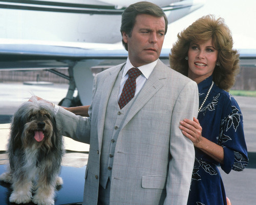 This is an image of Photograph & Poster of Hart to Hart 298396
