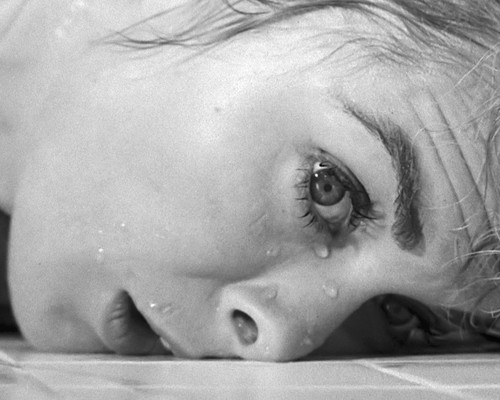 This is an image of Photograph & Poster of Janet Leigh 103032