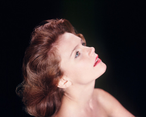 This is an image of Photograph & Poster of Lee Remick 298437. 