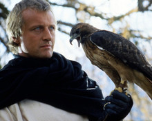 This is an image of Photograph & Poster of Rutger Hauer 298580