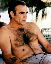This is an image of Photograph & Poster of Sean Connery 298611