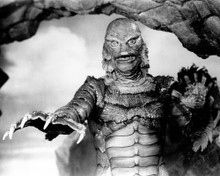 This is an image of Photograph & Poster of The Creature from the Black Lagoon 103182