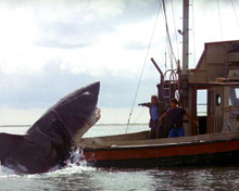 This is an image of Photograph & Poster of Jaws 298567